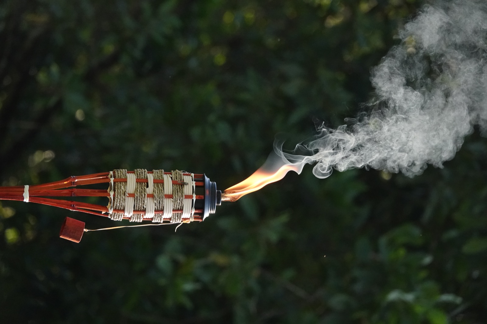 A bamboo torch burning at the edge of the space