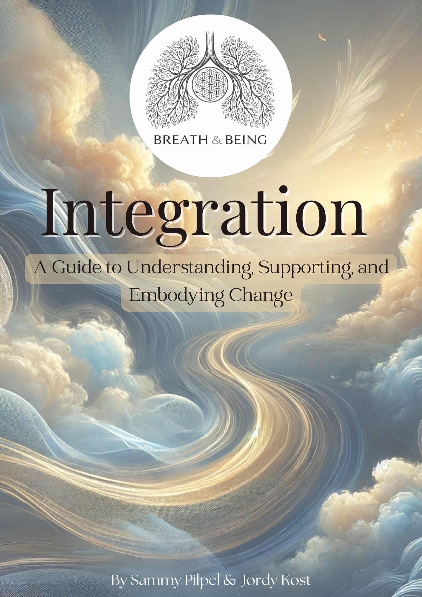 Cover of The Integration Pack